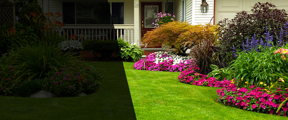 Eustis Landscapers